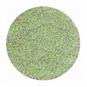 Norton® Norton® 69957399707 Coated Abrasive Quick-Change Disc, 2 in Disc Dia, 40 Grit, Extra Coarse Grade, Aluminum Oxide Abrasive, Type TR (Type III) Attachment