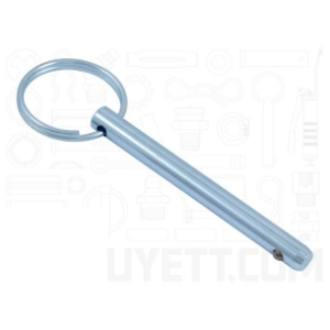 G.L.HUYETT™ 25R200PDT Detent Pin, 1/4 in Dia